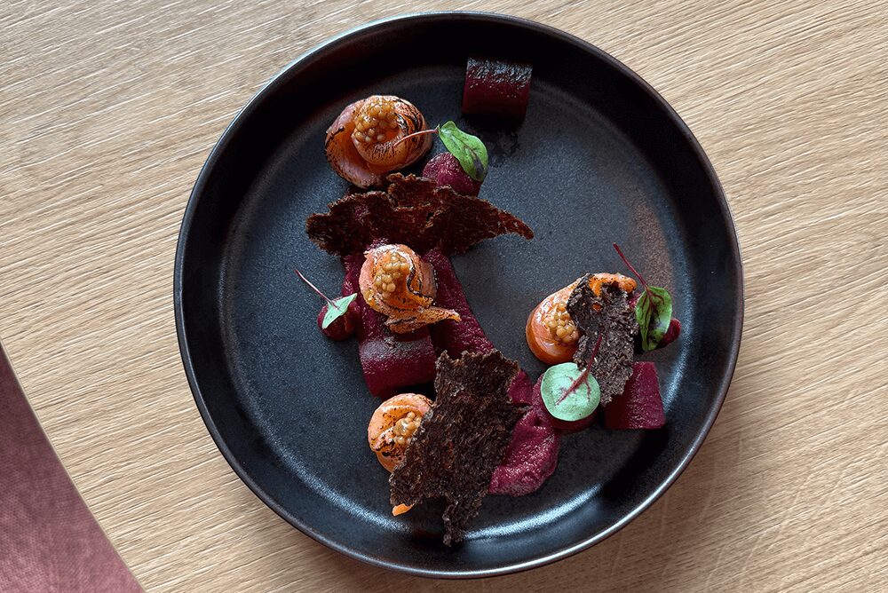 8e76855f d17f 4f65 b669 906a1257baff 4 aspect ratio 344 230