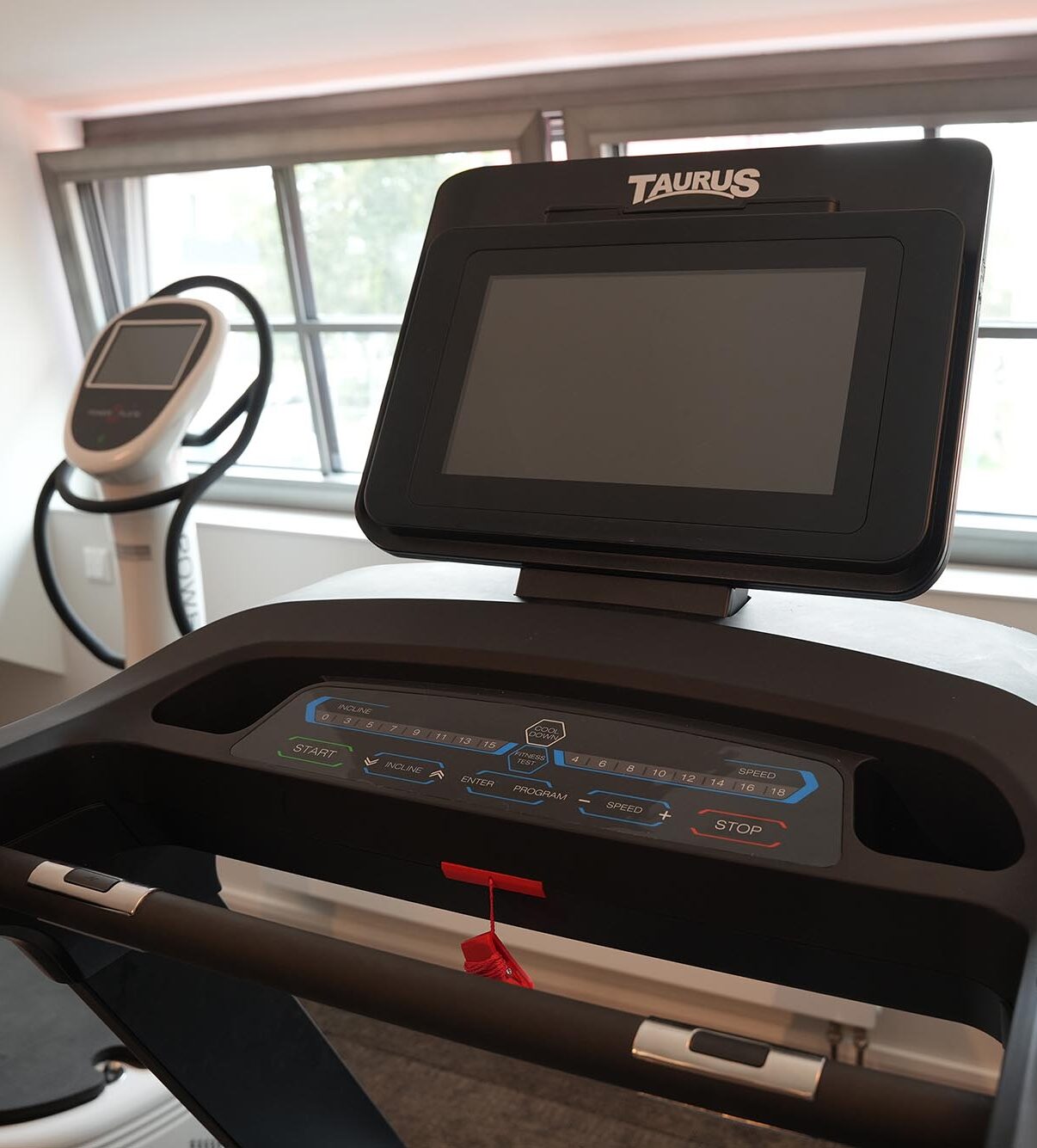 Hotel Fitness Laufband aspect ratio 345 382