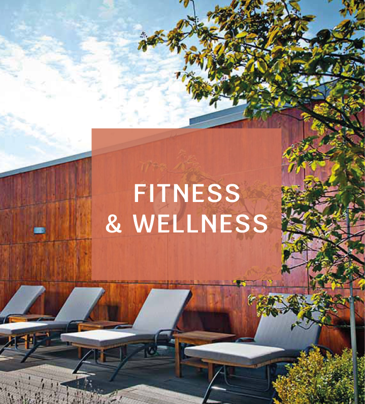 LY qnorke Teaser Wellness