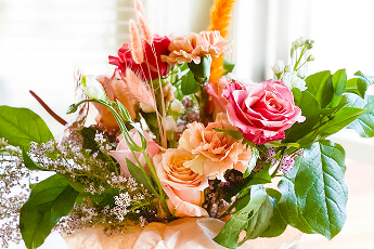 kitera dent oKTbuBOyz E unsplash 1