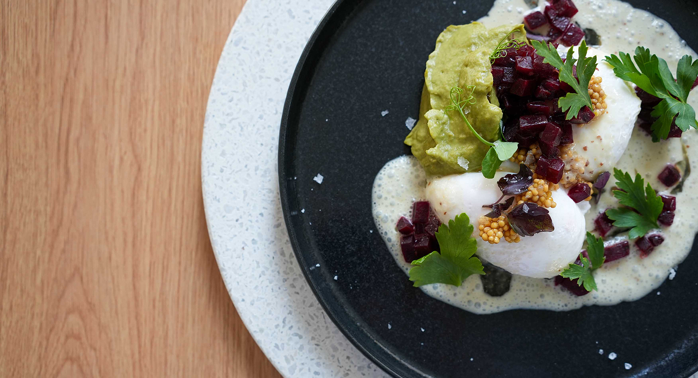 qnorke web Senffei 1